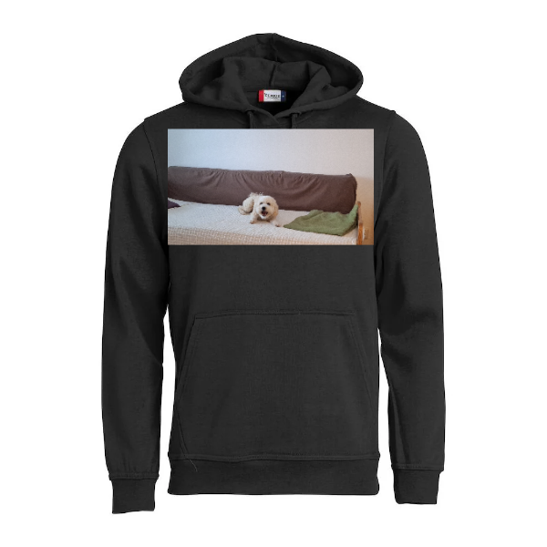 Basic Hoody