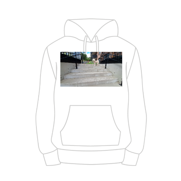 Basic Hoody - Barn