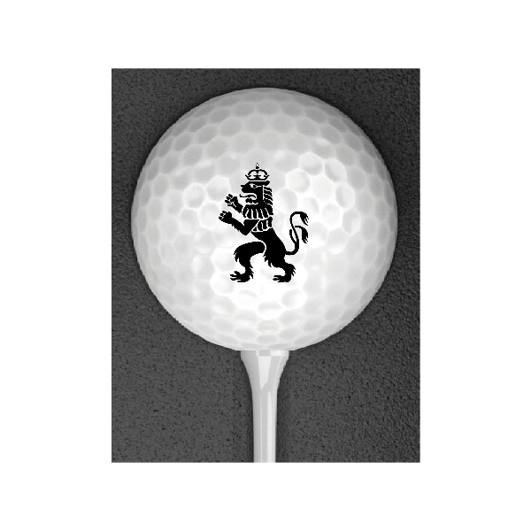 Titleist - Pro V1